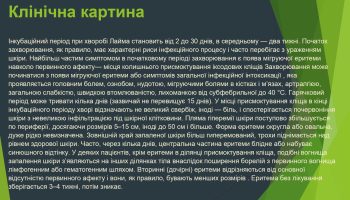 laim-borelioz_page-0010