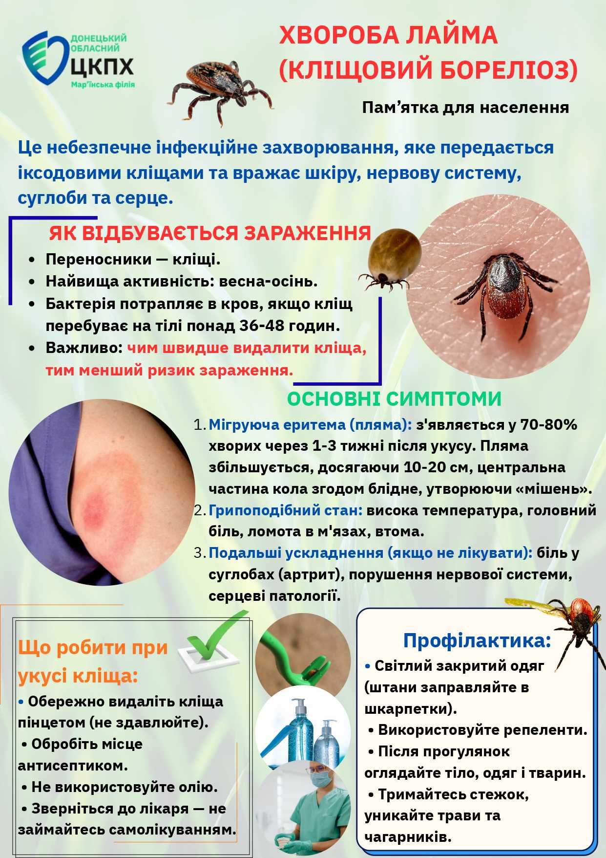 «Хвороба Лайма»